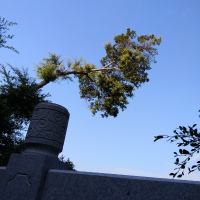 山那边可能还是山