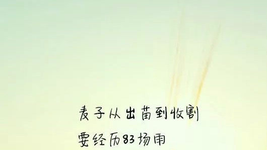 小飞侠熙熙 要做这样的姑娘！