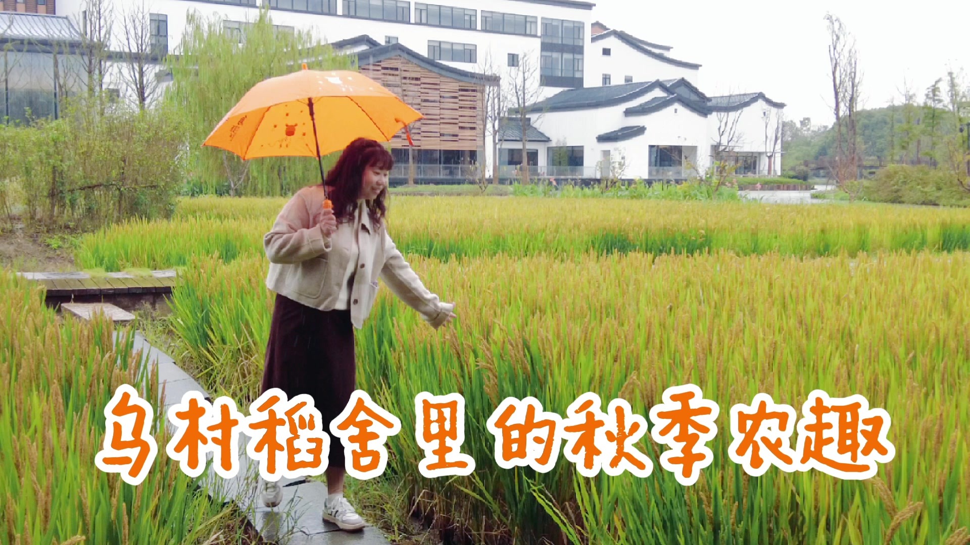 来乌村稻舍里体验秋季农趣的快乐