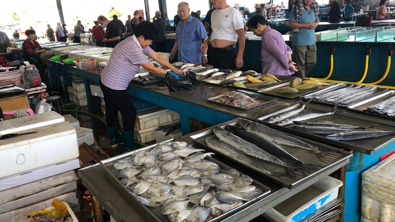 鲍鱼|立秋后，有钱没钱，这6种海鲜要多吃，鲜嫩又肥美，遇到别错过