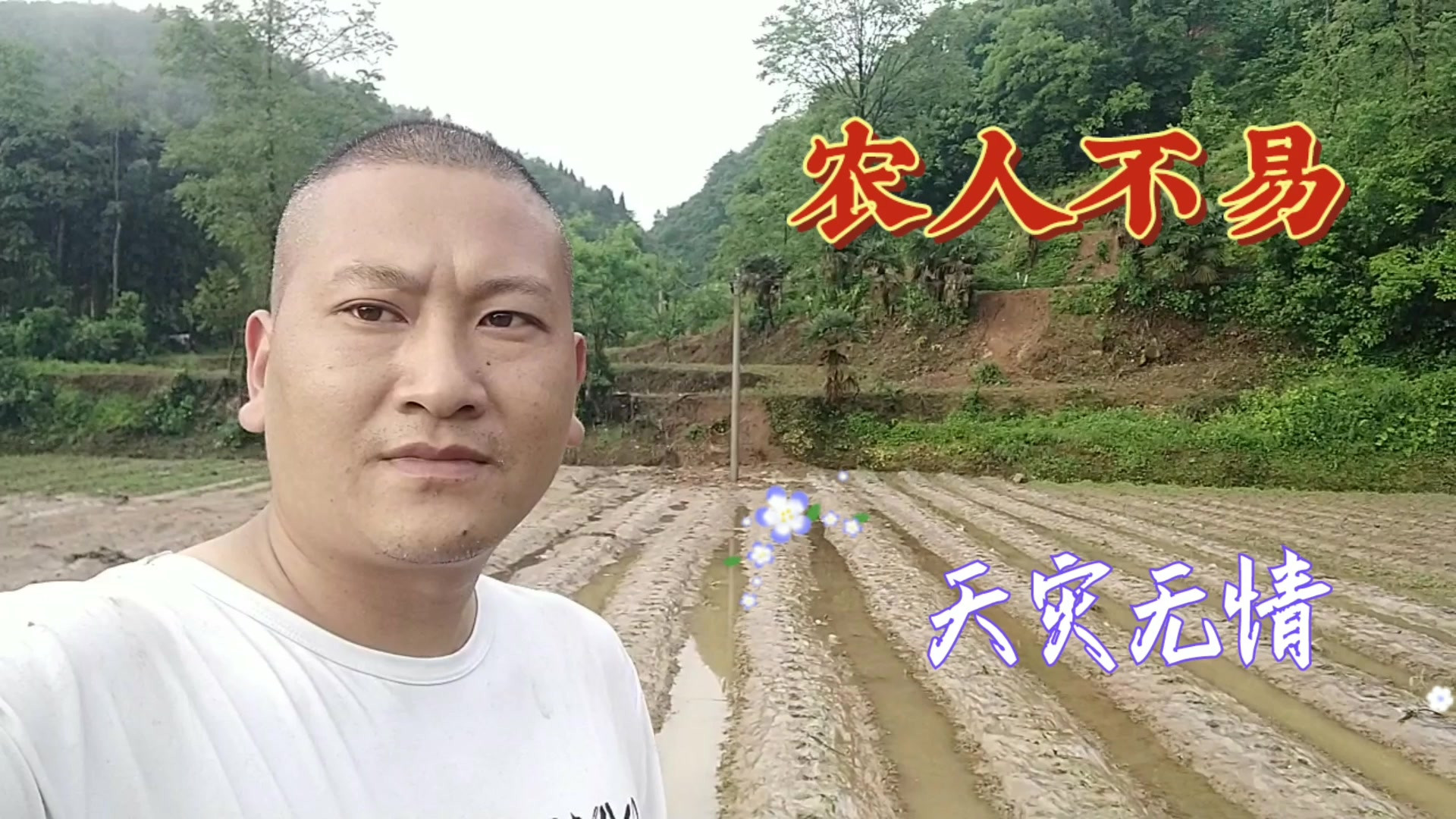 暴雨冰雹过后，毛哥到地里查看灾情，眼前的景象直叹农人不易