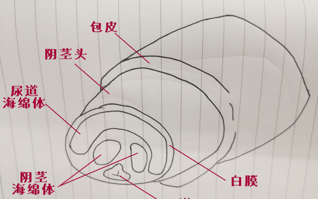 游戏新闻