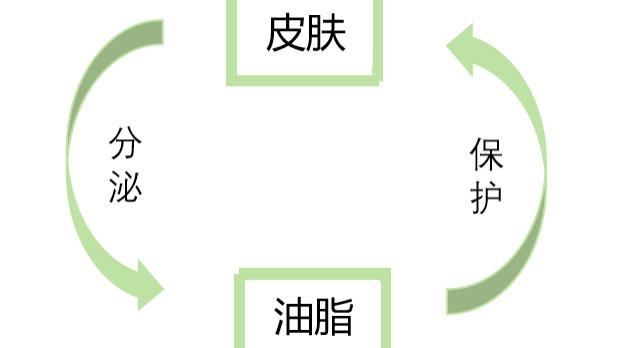 冬日护肤可不能光补水，快来盘一盘“水油水”保湿大法！