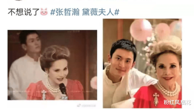 赵薇为什么会被封杀? 赵薇为什么会被封杀?