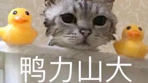 甘油|减肥掉秤慢？很多人都忽略了这一关键点！丨杰夫谈瘦身