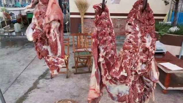 羊肉|冬天购买羊肉时，选择什么颜色的羊肉？如果你不知道，我来告诉你