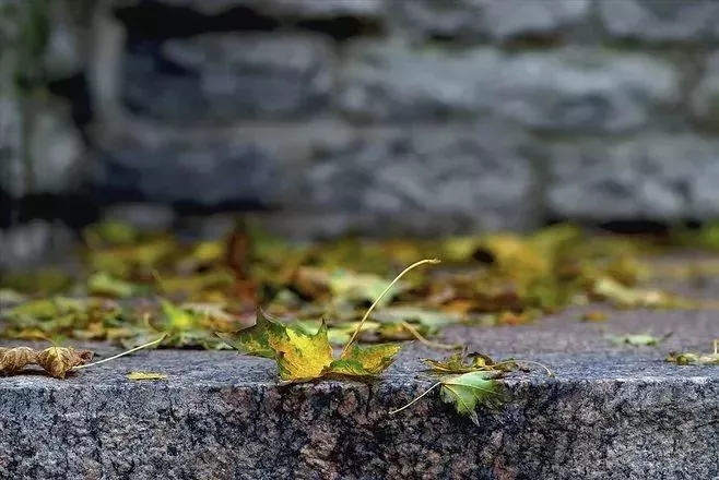 下雨的时候，谁能把伞及时打过头