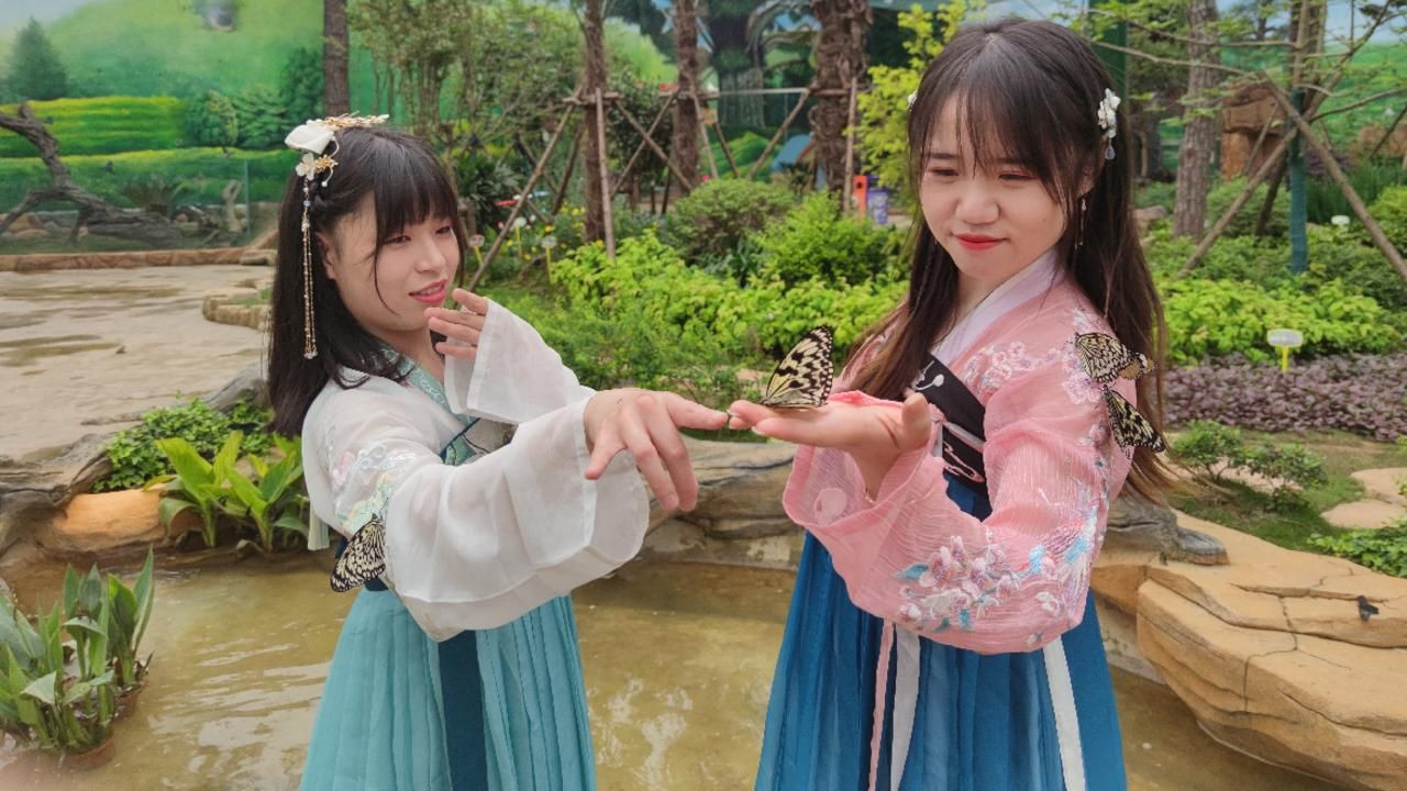 武汉广播电视台 万只蝴蝶，百种花卉，这个“五一”快来get东湖海洋乐园最潮玩法