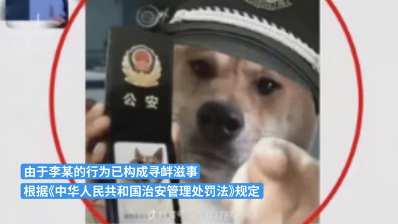 以身说法 宁夏男子因对疫情管控不满，在微信群中发狗狗表情包辱警被拘9日