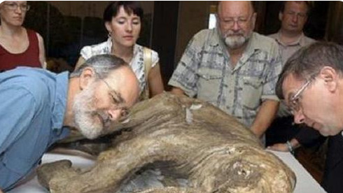 科学家 俄罗斯科学家为了永生，注射350万年前猛犸象细菌，最后结局如何