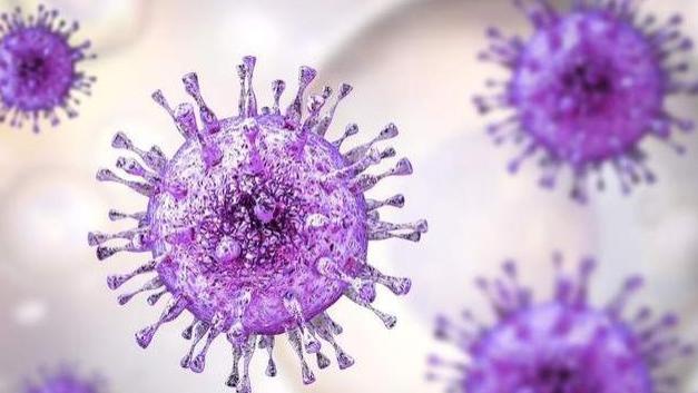 意大利 意大利专家研究发现：人类与新冠病毒无法共存