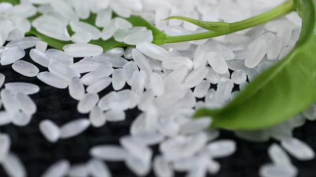 大米|敢向日本越光米叫板？不输五常米的舒兰大米，“煮饭仙人”都说好