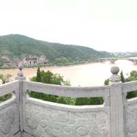 驼色特投