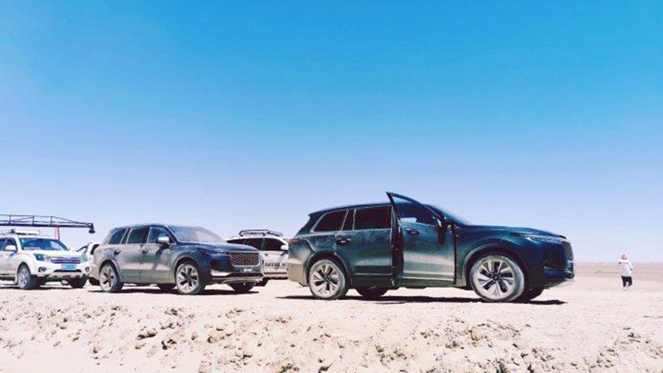 【运动型中网+电吸门，现款理想