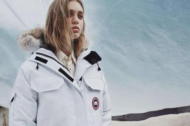 #加拿大鹅被罚45万：明明是鸭