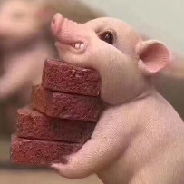 斗破仓穷