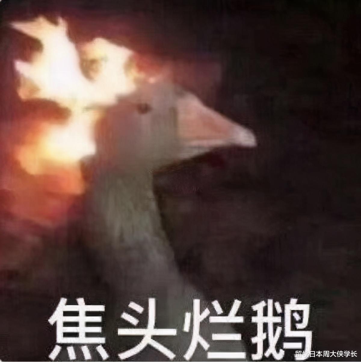 日本大学院 9月入学还是4月入学 半年空闲可以做什么 教育资讯 娱乐新闻网
