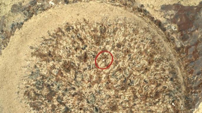 “毅力”号火星车发现一块奇怪岩石，NASA：没人见过的东西