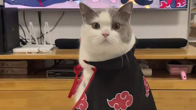 网管|“我爷爷泡的药酒，喝了感觉晕晕的？应该没问题吧”网友：可以抬走了！哈哈哈