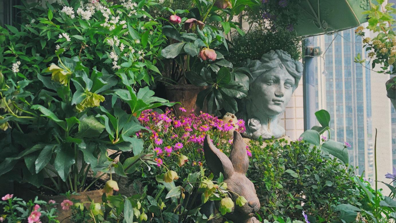 3.3㎡迷你阳台“造花园”，没想到小小阳台能这么漂亮，太喜欢了