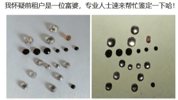 “刚租的房子，打扫柜子发现的，我是不是发财了？”