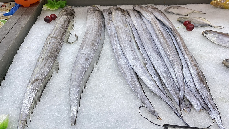 鸡爪|买带鱼，挑“黑眼睛”还是“黄眼睛”？差别很大，难怪总做不好吃