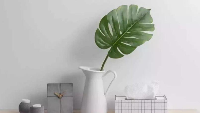 日子过久了才知道，这些家居物品，看起来高大上，其实徒有其表！