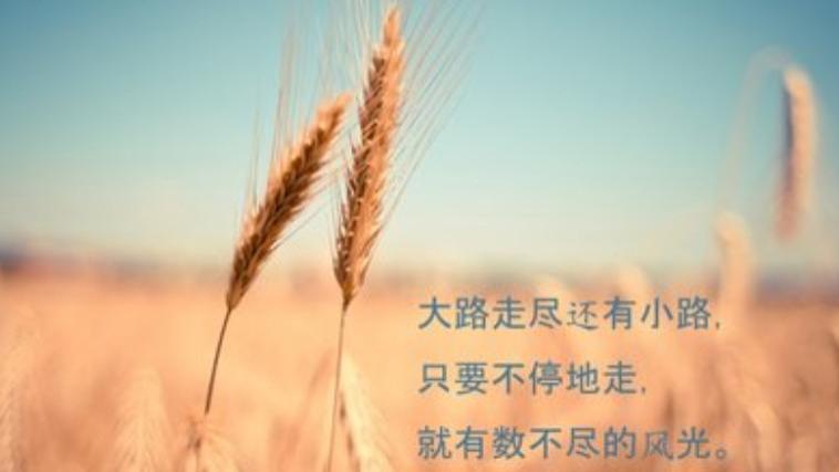 夏晴风|原来，这才是真正的自律（值得收藏）