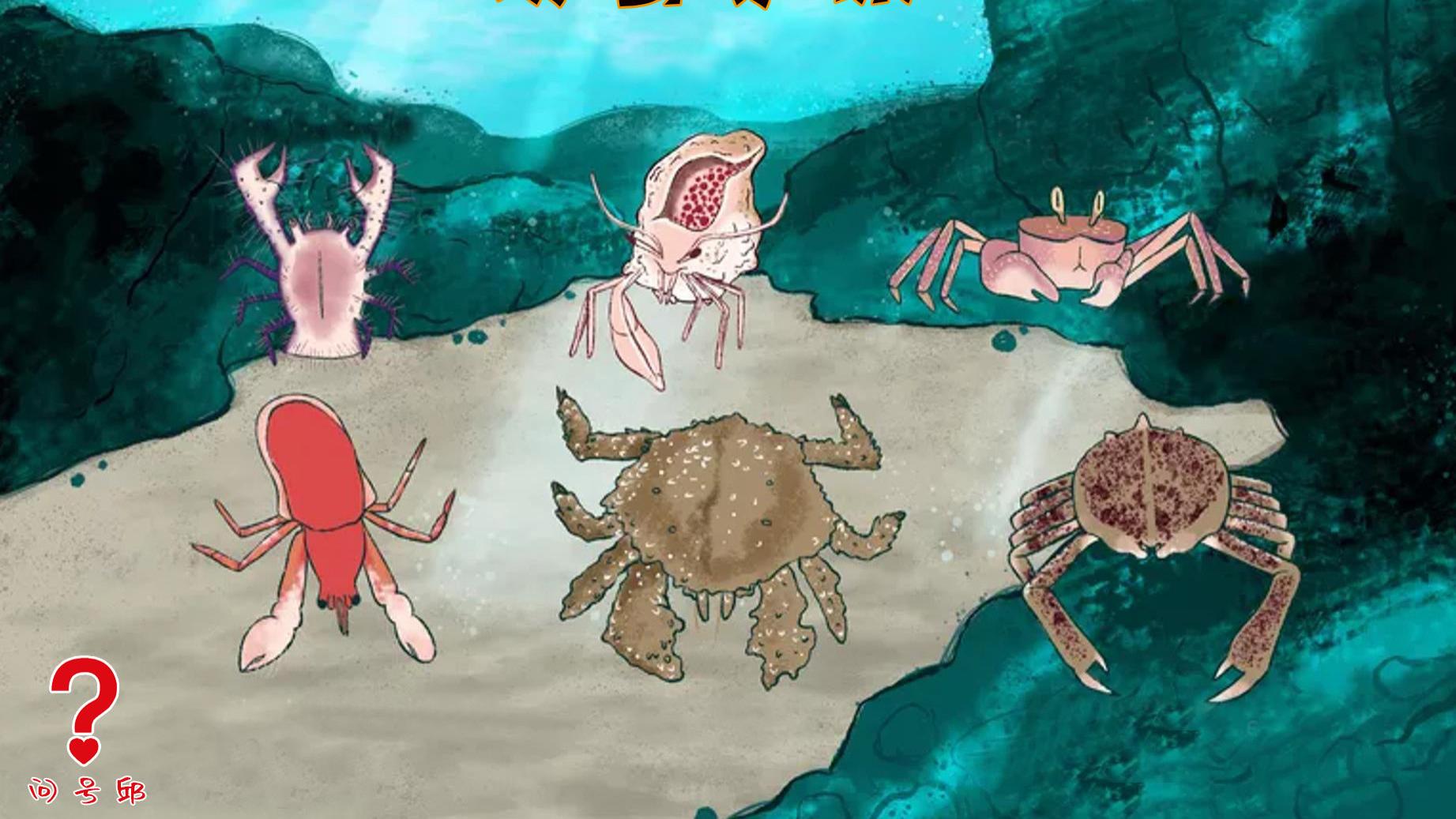 粉色 10种奇怪的螃蟹：有五颜六色的体色，有稀奇古怪的模样