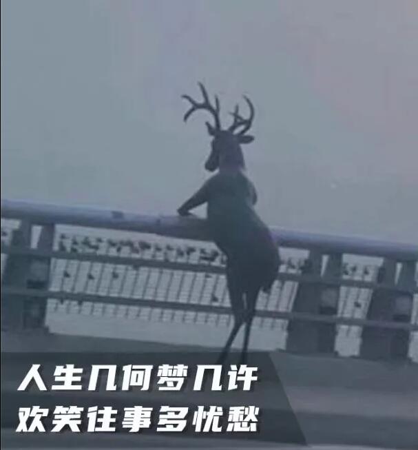  互联网创业界有三缺：缺程序猿