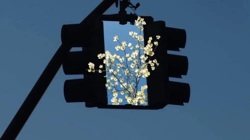 占卜师央央|塔罗牌占卜：TA只是你生命中的“红尘过客”吗