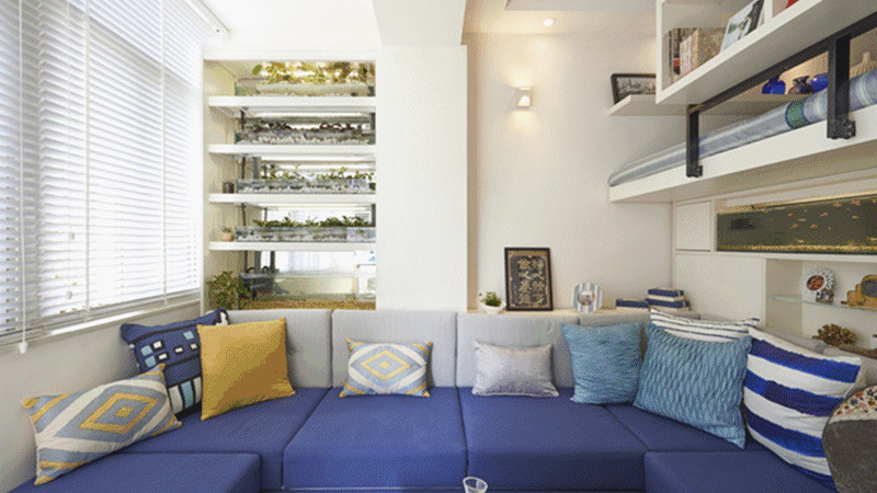 设计师王佩 孝顺的女主，为父母改造老住宅，尽最大的努力给父母最好的生活