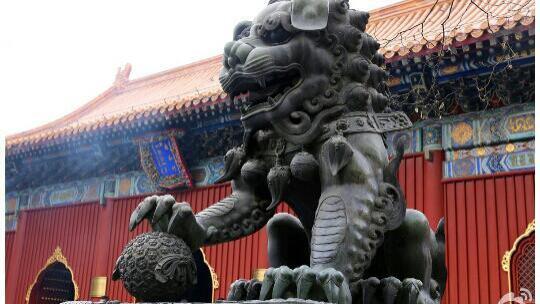 夷然自若cxdy|不慕菩提道场，也可步步莲花，句句禅意