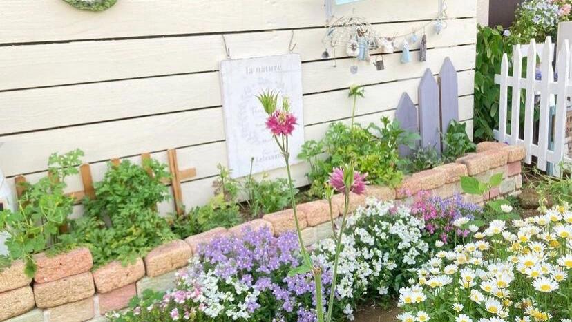 8㎡的狭长小道，也能建漂亮花园，对于阳台党来说非常值得借鉴