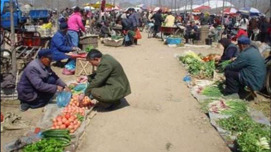 饺子|从什么时候开始，我们渐渐的不再去菜市场了？