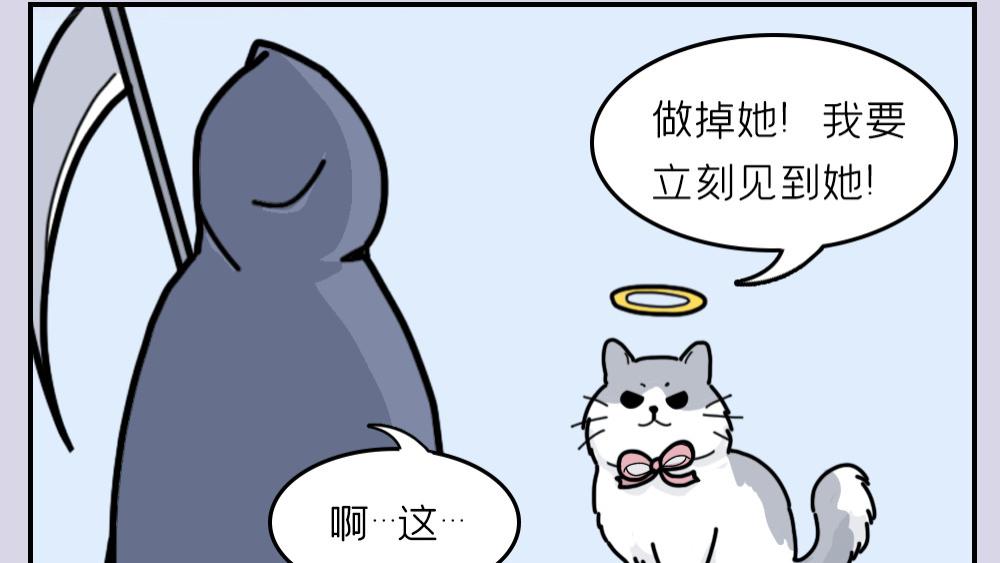 费加罗夫人|《当代富婆被虐行为大赏》