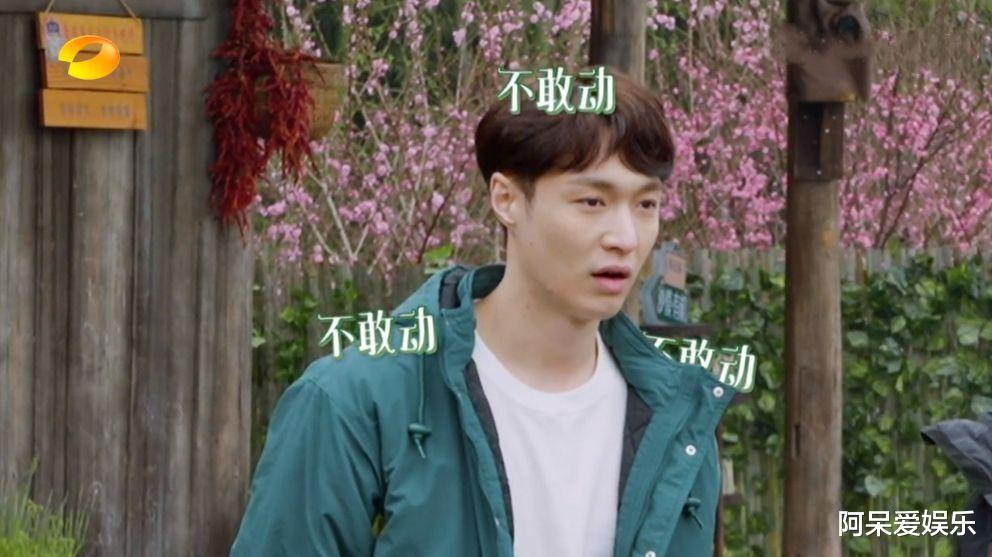 综艺收视率榜:《向往的生活》第六《奔跑吧》未上榜 综艺收视率榜:《向往的生活》第六《奔跑吧》未上榜