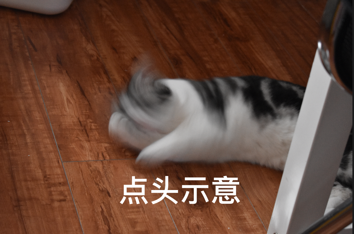 对对对，你说得都对