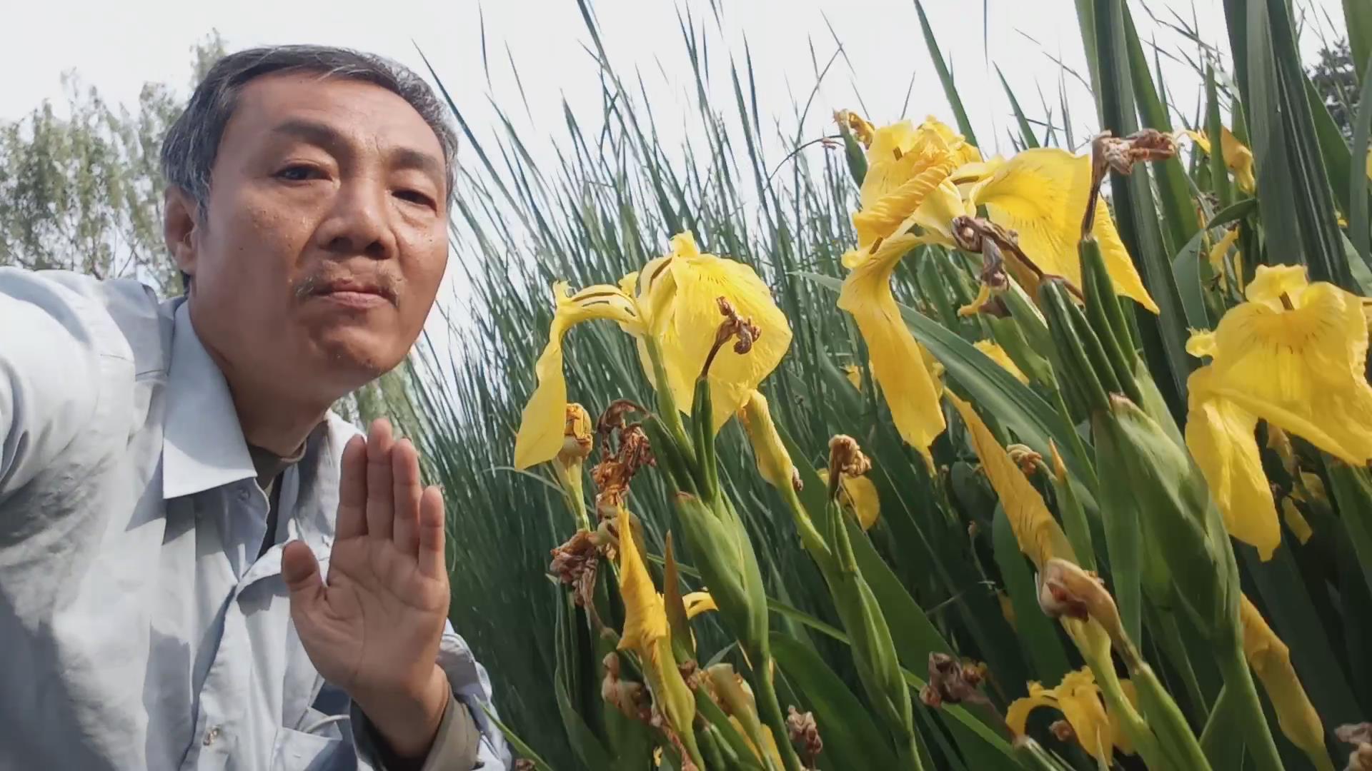 阿弥陀佛慈愿王北斗 历史故事网