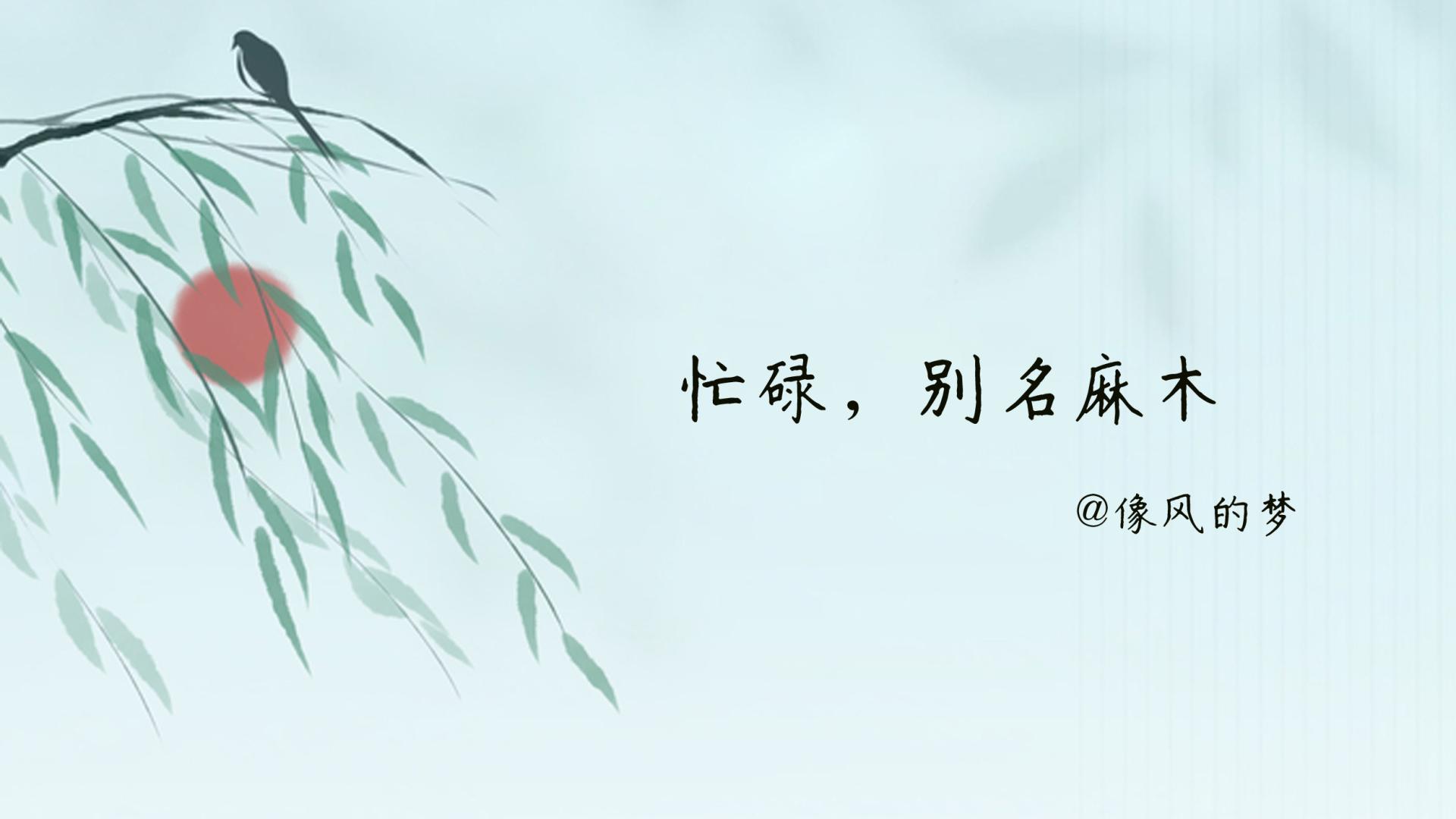 像风的梦|再曼妙的风景，也需搭配均衡的心情，这样浪漫才会滋生