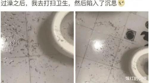 时光了了说说|“追了一年的女朋友在我家洗完澡后，我陷入了沉思...”哈哈哈啊哈哈