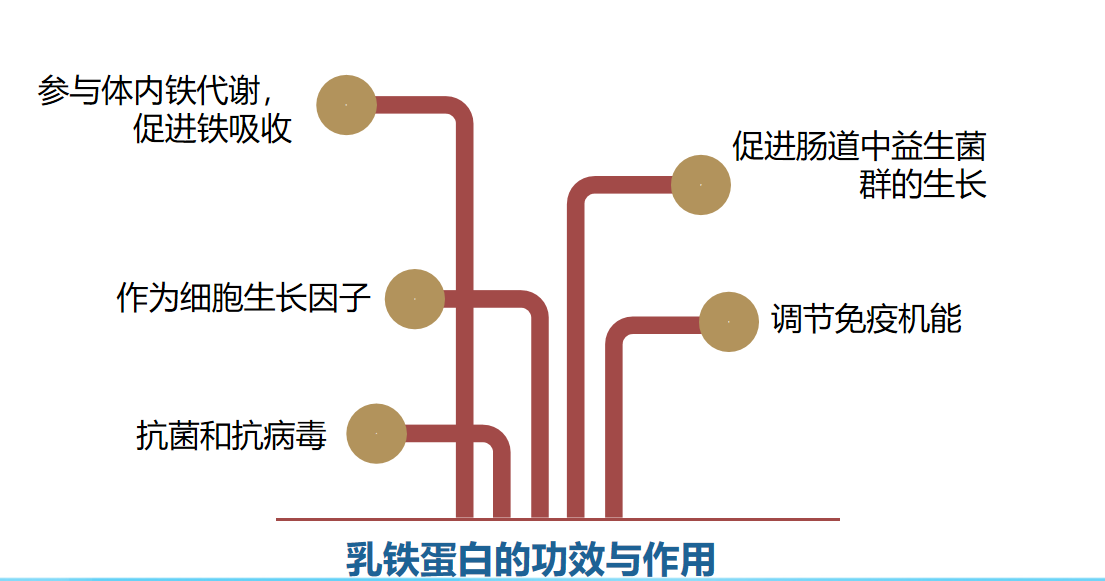 考拉海购