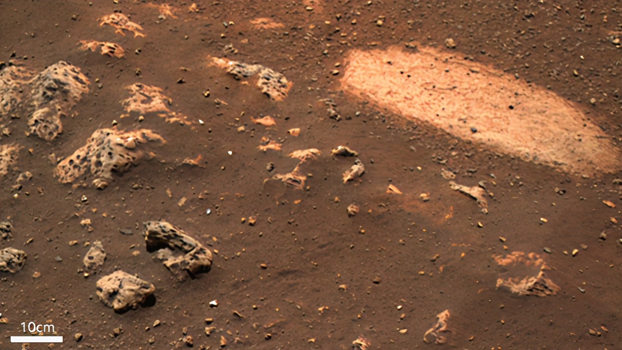 flyaway 为什么一些科学家认为所有生命起源于火星