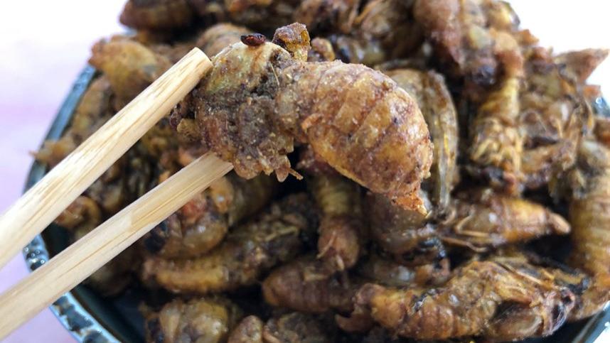 |夏天，这美味抓紧吃，高营养高蛋白，现在正当季，错过等明年