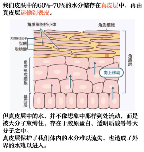 考拉海购
