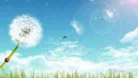 请问相伴你左右的人可是这样的良人？？