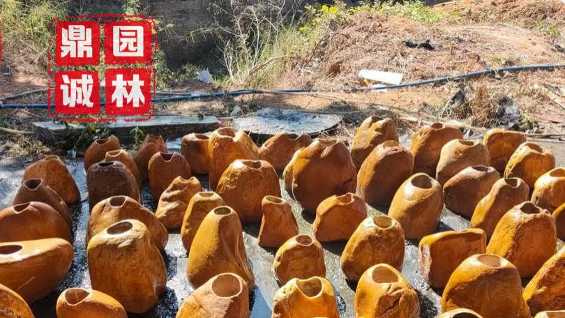 天然黄蜡石花盆景观设计