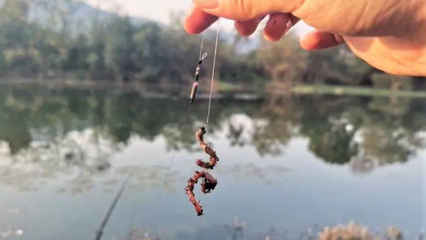 剑灵2|用蚯蚓钓鱼，究竟怎样挂钩才好？这3点不注意，万能饵变无能饵