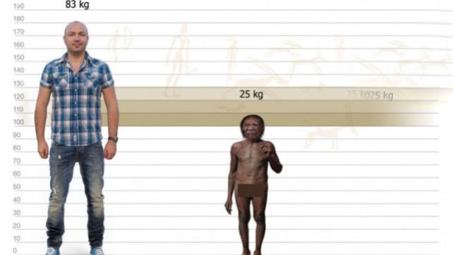 霍比特人 身高1米，体重25公斤，地球上最后一群“霍比特人”灭绝于6万年前