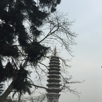 穷的只剩下眼泪